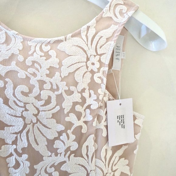 JARLO Shawe Lace Ivory Dress NWT - Picture 4 of 5